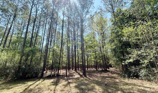 lot 132 pic 2