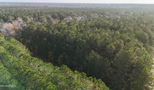 DJI_20241216093235_0166_D