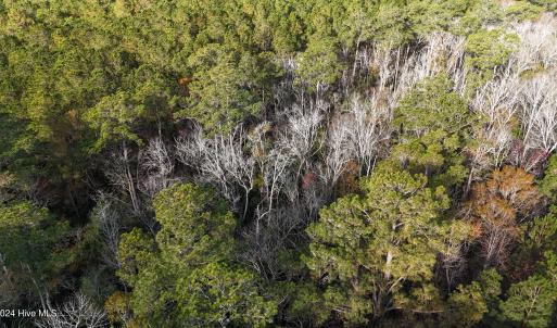 DJI_20241216093531_0179_D