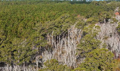 DJI_20241216093611_0182_D