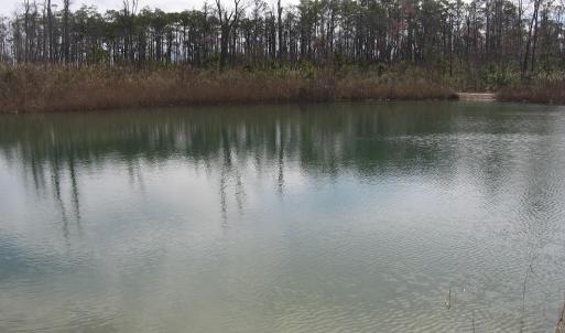 Pond View 5