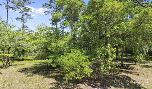 3494 Mill Pond Road