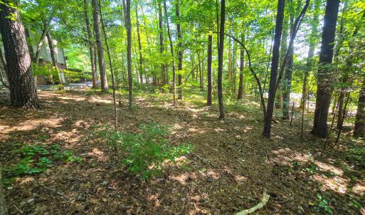 0.35ac - Therrian - Lee Co. - DM (9)