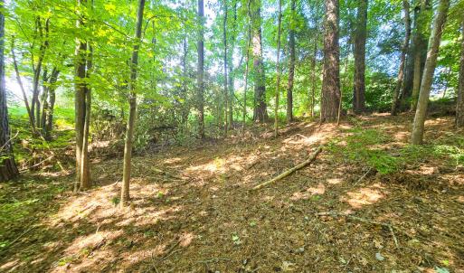 0.35ac - Therrian - Lee Co. - DM (16)