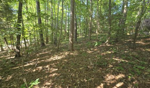 0.35ac - Therrian - Lee Co. - DM (7)