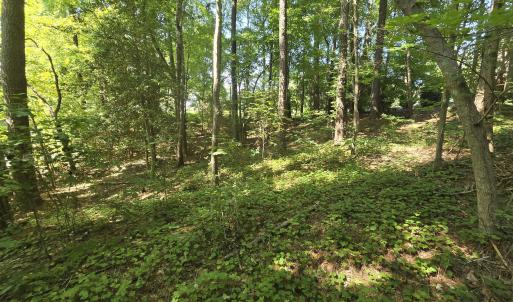0.35ac - Therrian - Lee Co. - DM (10)