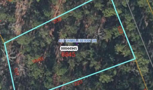 GIS Overhead Image
