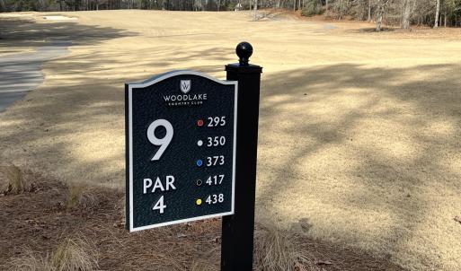 9th Hole