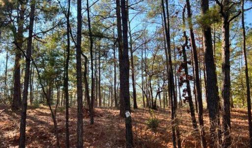 As Seen From the Road