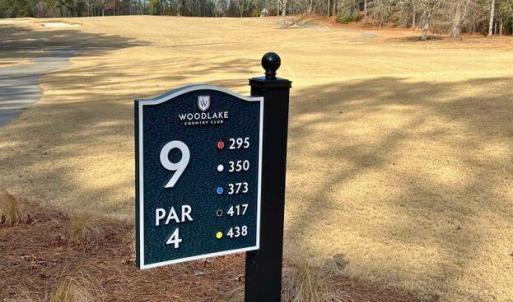 9th Hole