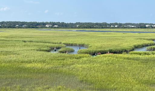 Kayaking in the Marsh