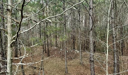 Riverbluff Ln