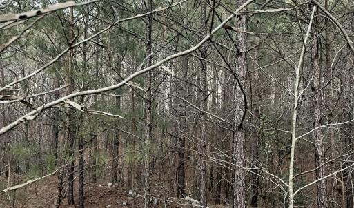 Riverbluff Ln