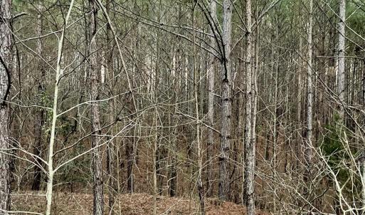 Riverbluff Ln
