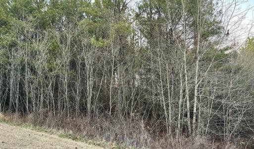 Riverbluff Ln