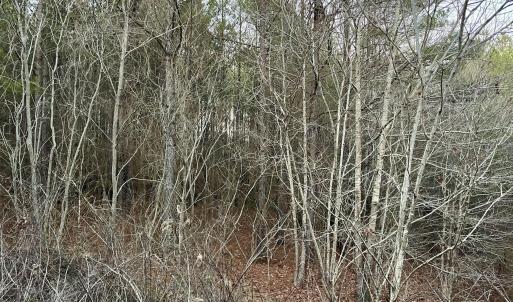 Riverbluff Ln