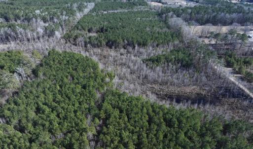 DJI_20250118130739_0438_D