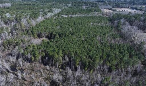 DJI_20250118130823_0440_D
