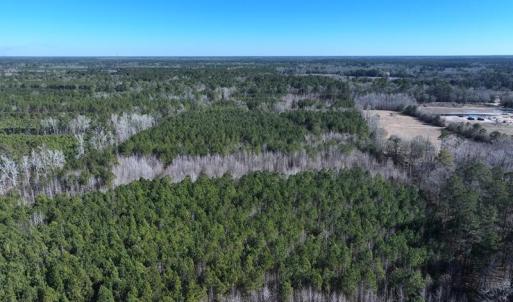 DJI_20250118131003_0442_D