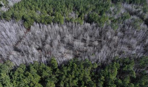 DJI_20250118131030_0443_D