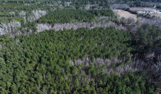 DJI_20250118131113_0445_D