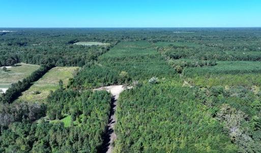 DJI_20250903032709_0616_D