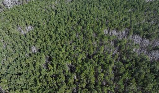 DJI_20250118131059_0444_D