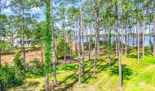 241 Oyster Point (26)