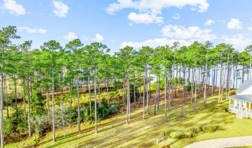 241 Oyster Point (6)