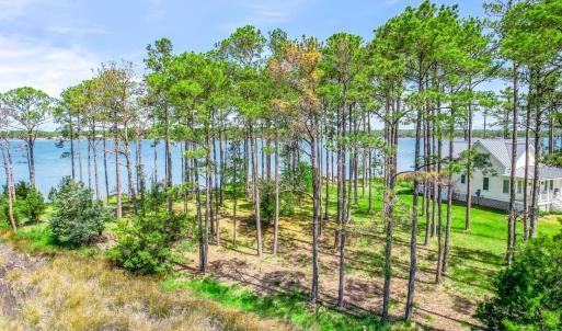 241 Oyster Point (40)