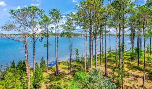 241 Oyster Point (38)