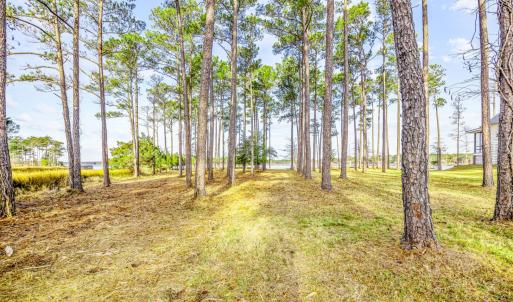 241 Oyster Point (5)