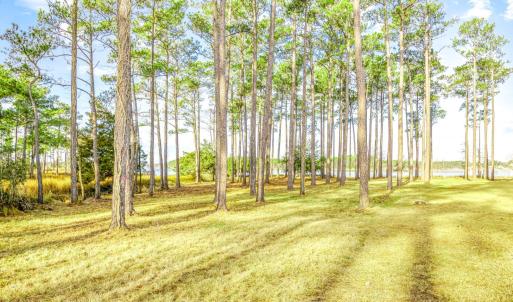 241 Oyster Point (4)