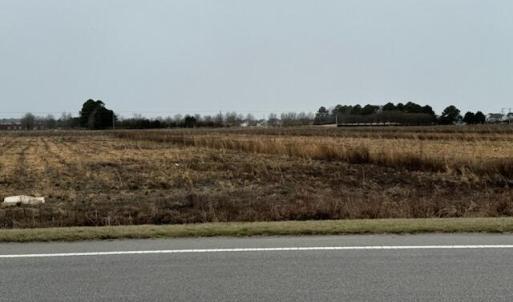IMG_9496