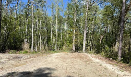 Bingham Lot