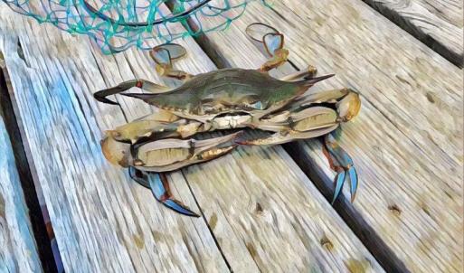 FB_IMG_1509163027453