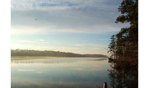 View to Neuse