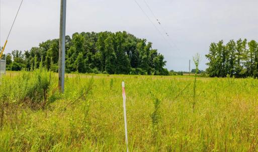 27-027-Duplin County Parcel 09-5323 Past