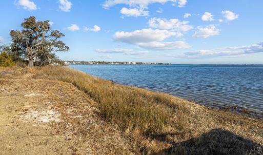 5-web-or-mls-1S3A0881