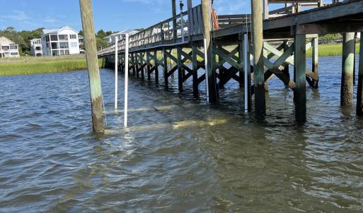 913SaltSprayLn_52554_5