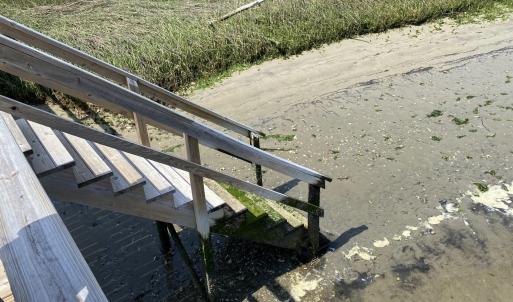 913SaltSprayLn_52554_7