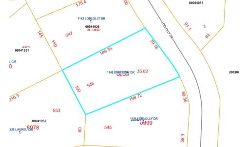 1148 Loblolly image