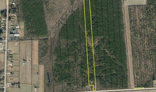 Lot 7 Main pic