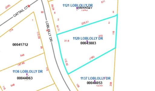 1129 Loblolly lot