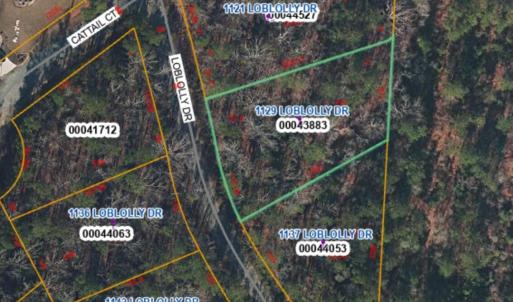 1129 Loblolly lot photo