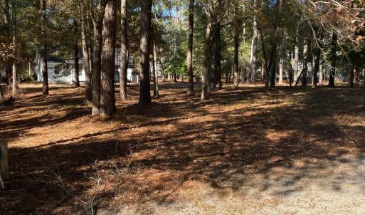 RIVER RUN PLANTATION