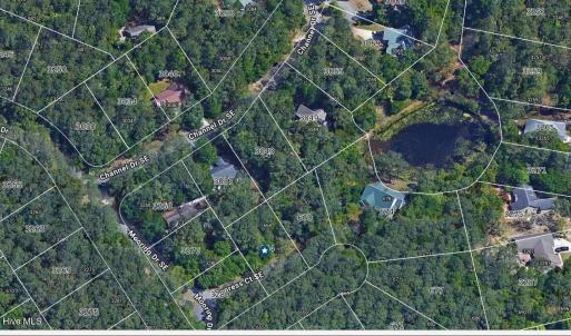 RIVER RUN PLANTATION