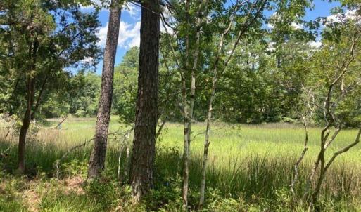 hughesroadlottreeotherview