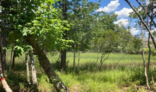 hughesroadlottreeview2