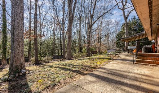 Rear Yard